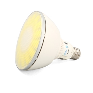 A19 Bulb