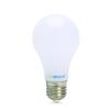 750202_1NEW-BULB-01-HI-RESs.jpg